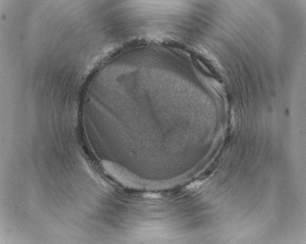 X0000088730496200706141642