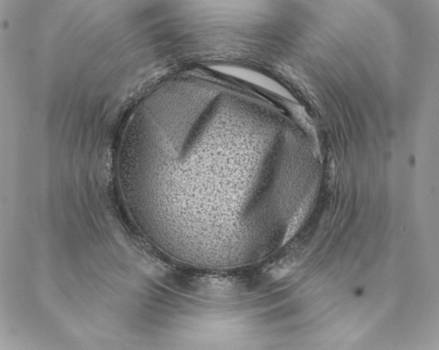 X0000088730498200706141642