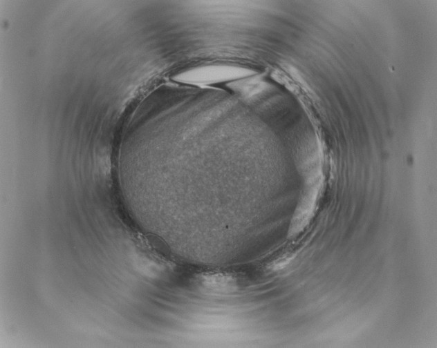 X0000088730500200706141641