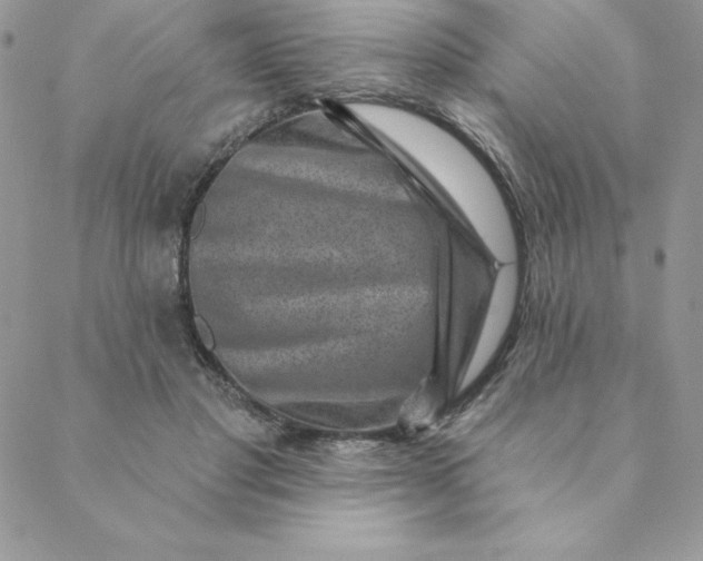 X0000088730501200706141641