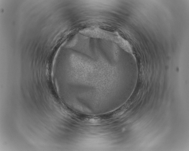 X0000088730506200706141641