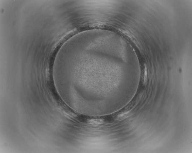 X0000088730508200706141641