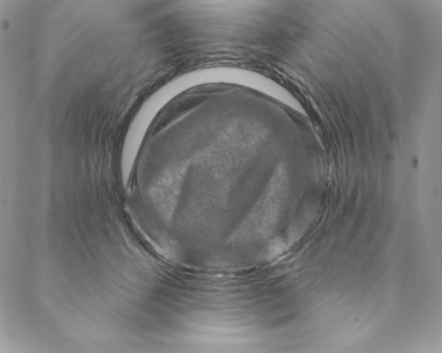 X0000088730512200706141641