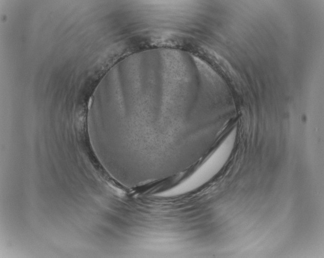 X0000088730513200706141641