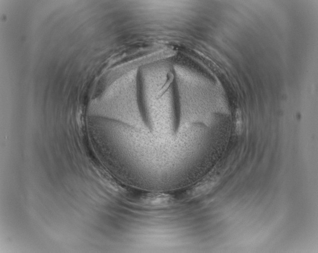 X0000088730514200706141641