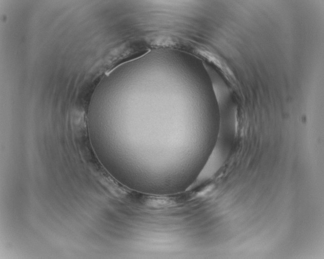 X0000088730521200706141641
