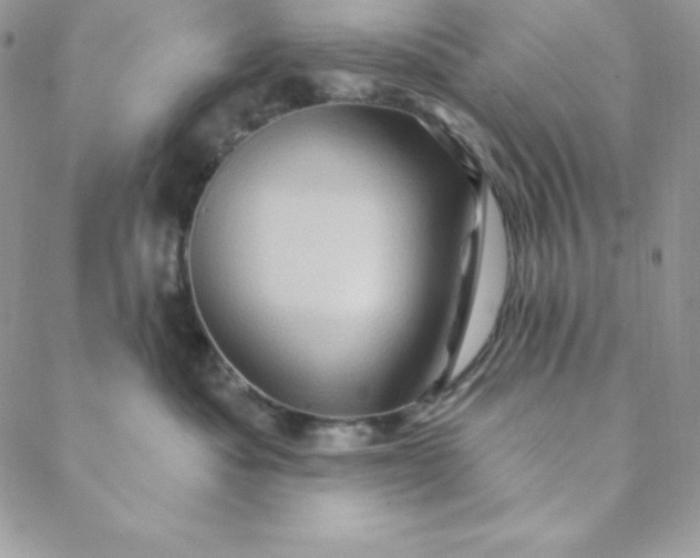 X0000088730525200706141641