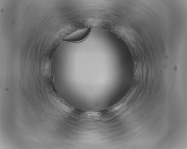 X0000088730526200706141641