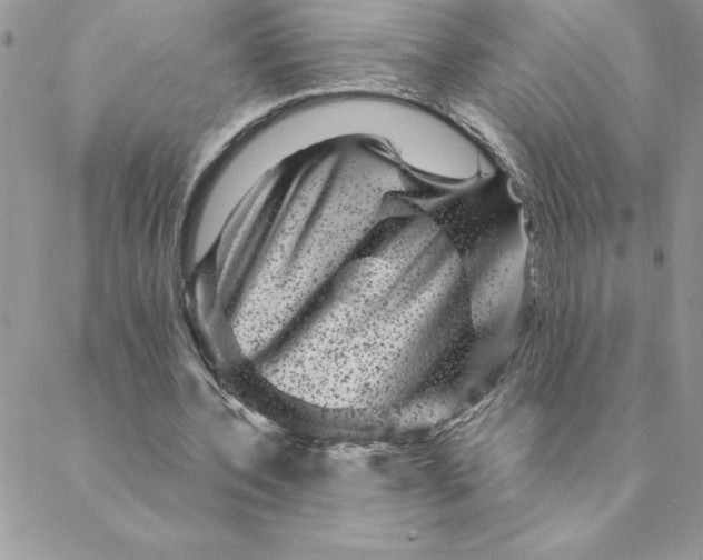 X0000088730532200706141640