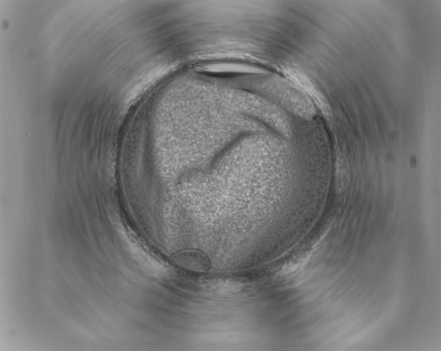 X0000088730533200706141640