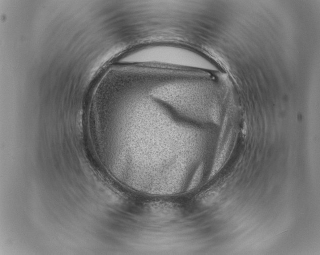 X0000088730535200706141640