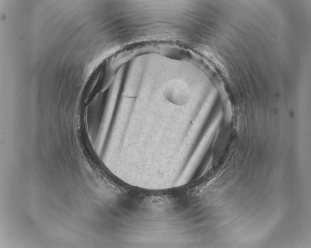 X0000088730536200706141640