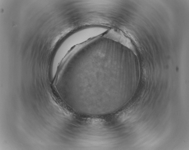 X0000088730539200706141640