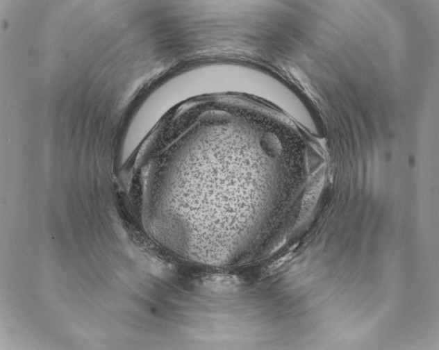 X0000088730543200706141640