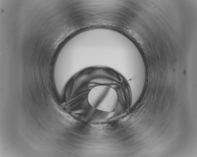 X0000088730544200706141641