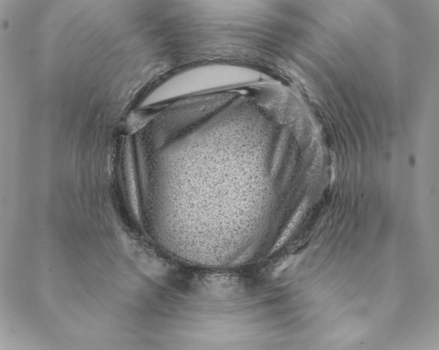 X0000088730546200706141641