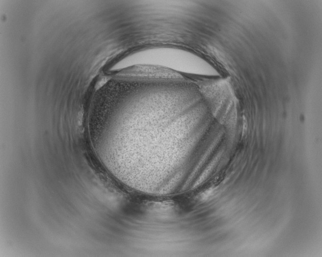 X0000088730548200706141641