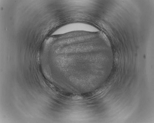 X0000088730551200706141641