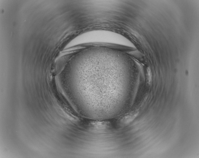X0000088730558200706141641