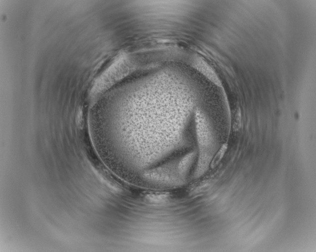 X0000088730560200706141641