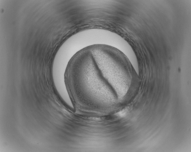 X0000088730562200706141641