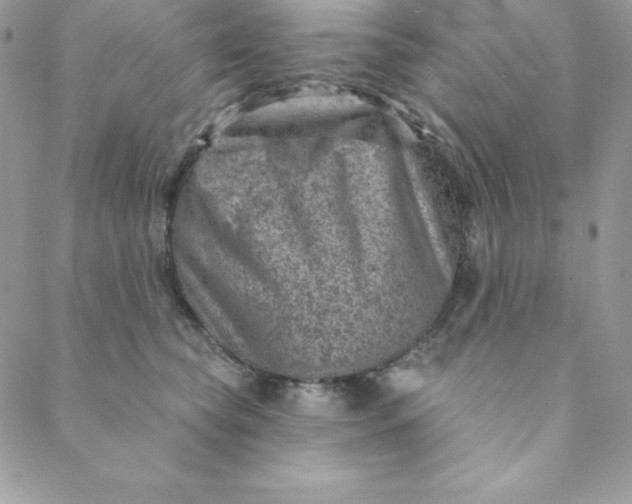 X0000088730565200706141641