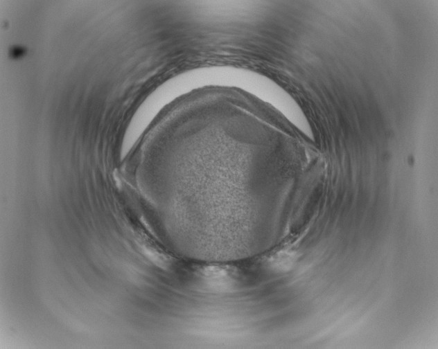 X0000088730566200706141641
