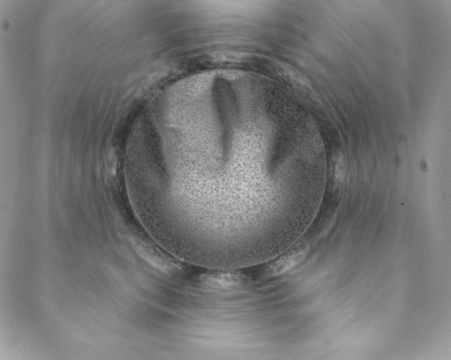 X0000088730567200706141641