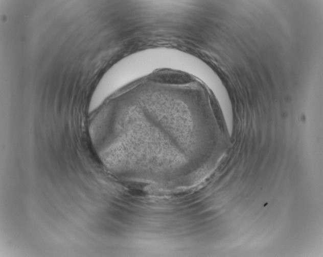 X0000088730571200706141641