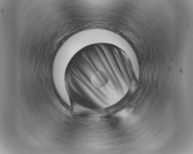 X0000088730572200706141641