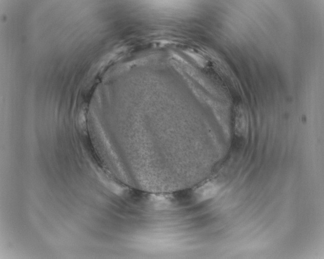X0000088730573200706141641