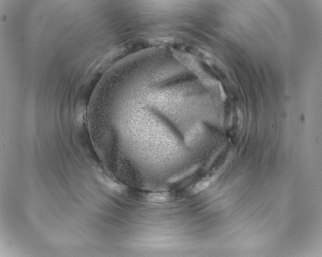 X0000088730574200706141641
