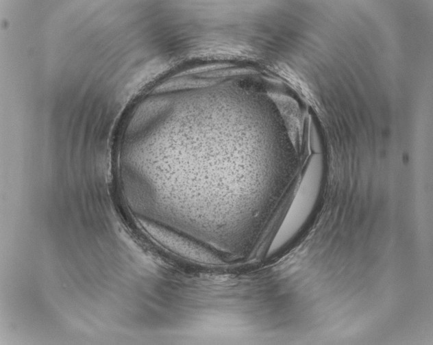 X0000088730582200706141640