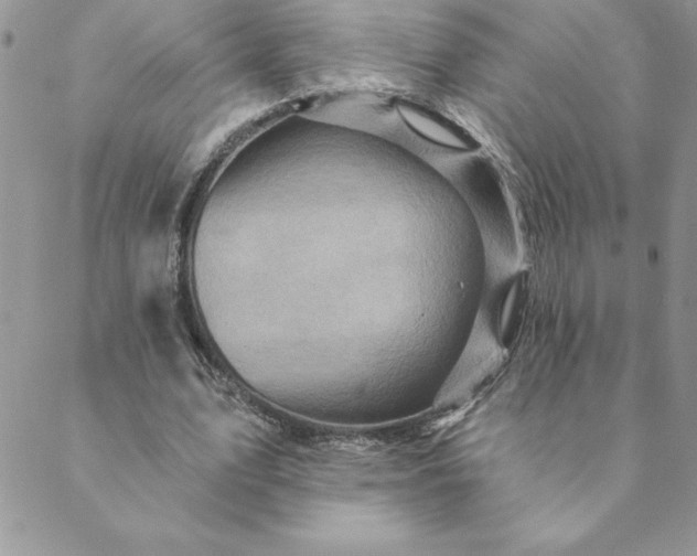 X0000088730583200706141640
