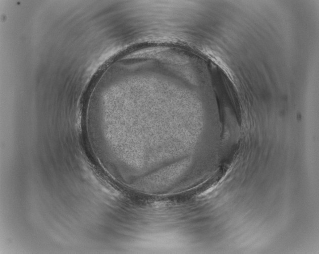 X0000088730584200706141640