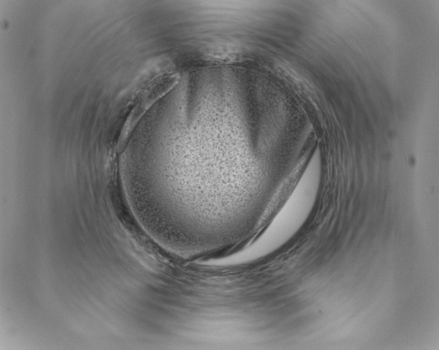 X0000088730601200706141640