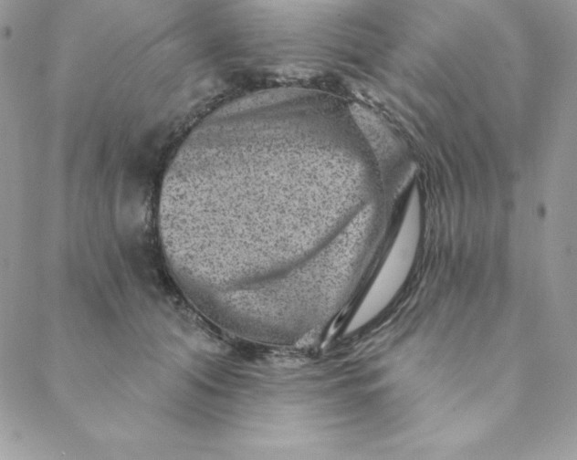 X0000088730608200706141640