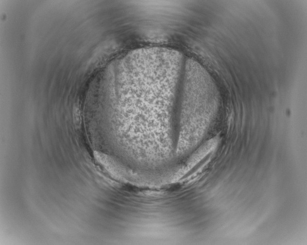 X0000088730609200706141640