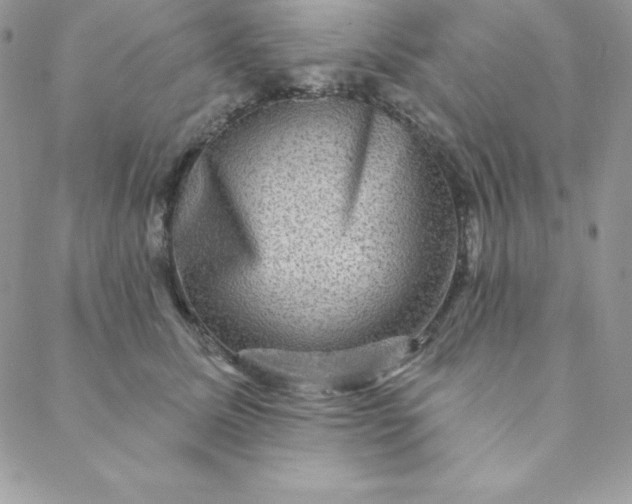 X0000088730611200706141640