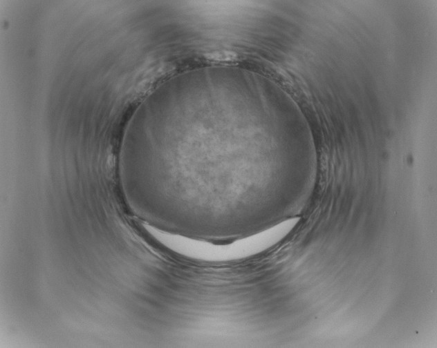 X0000088730614200706141640