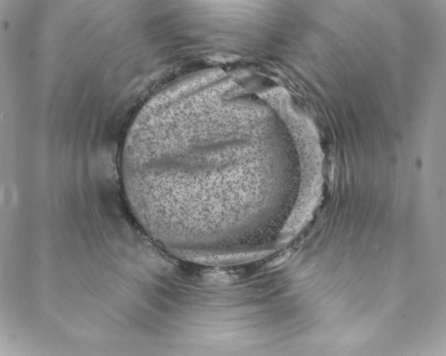 X0000088730616200706141640