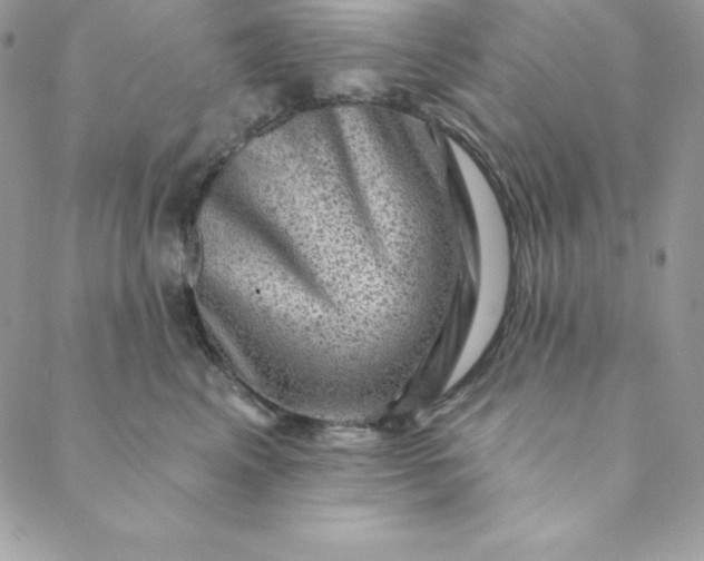 X0000088730617200706141640