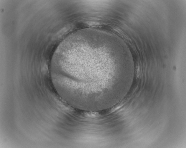 X0000088730618200706141640