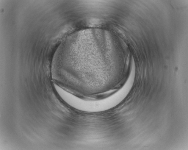 X0000088730620200706141640