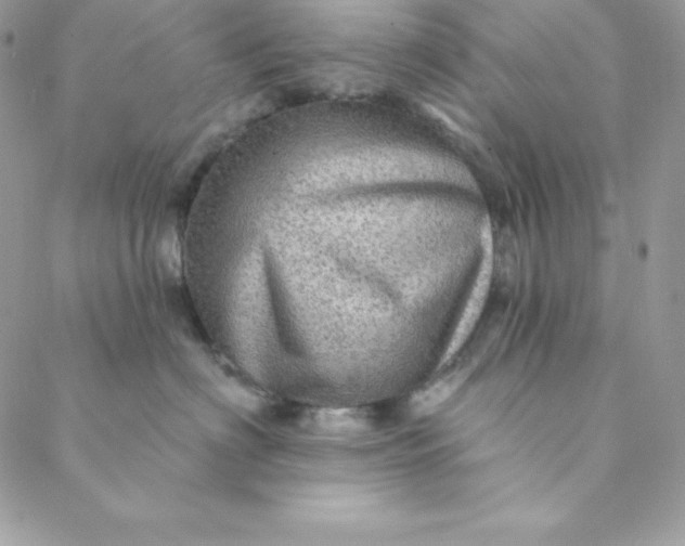 X0000088730622200706141640