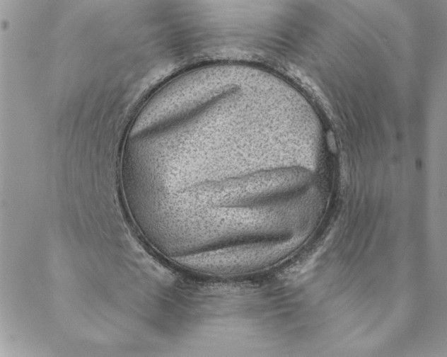 X0000088730625200706141639