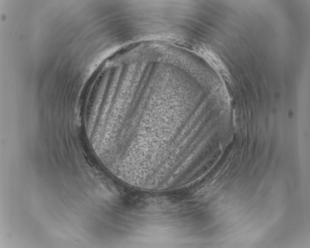 X0000088730628200706141639