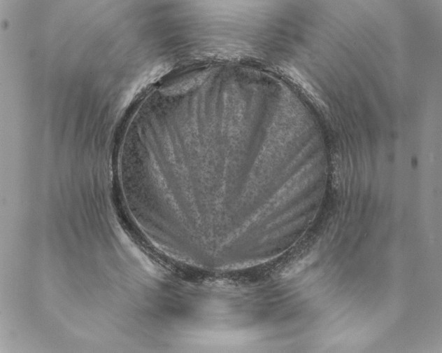 X0000088730634200706141639