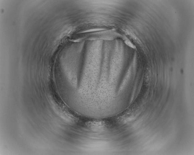X0000088730639200706141639