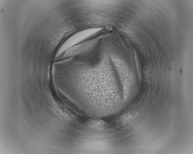 X0000088730642200706141639